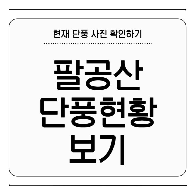 팔공산 단풍 현황 2025 단풍 절정 시기 보기 팔공산 단풍 현황