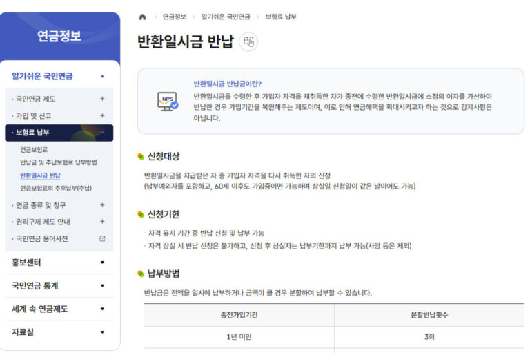 국민연금 반환일시금